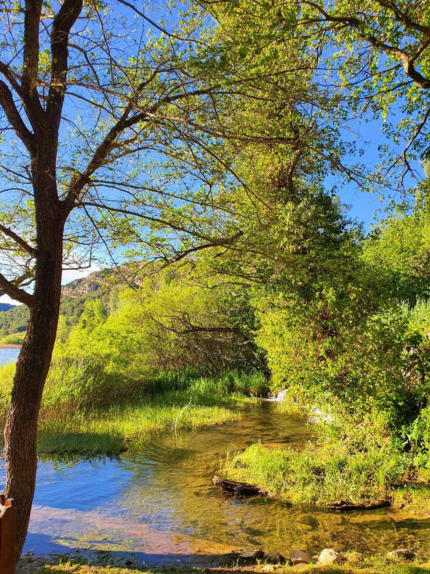 Violeta Hvar Hvar Town Dış mekan fotoğraf
