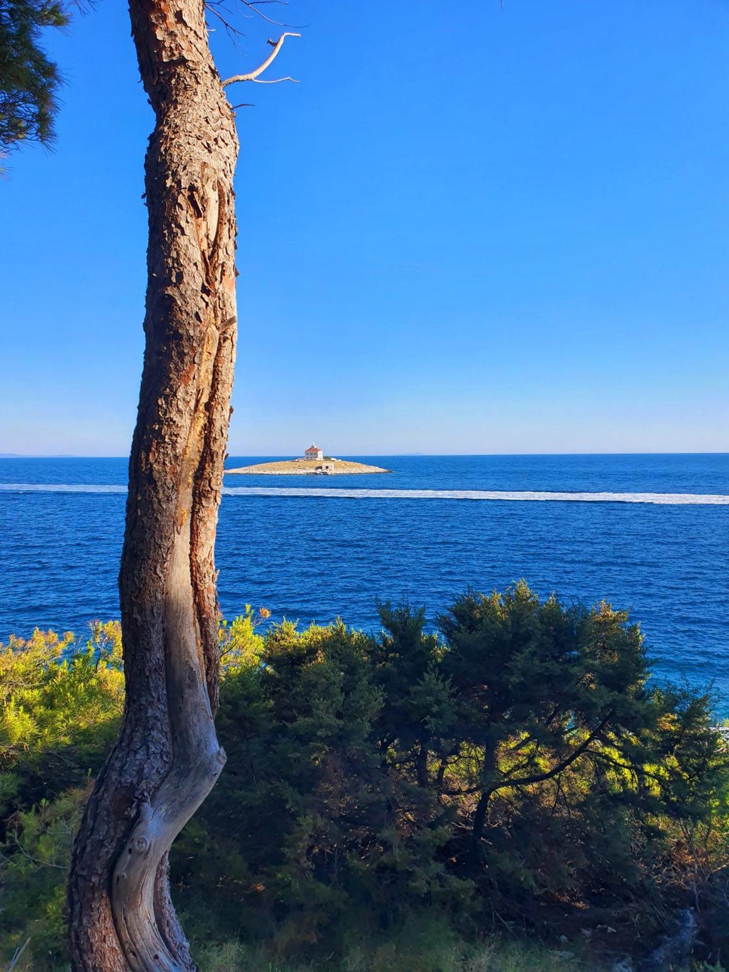 Violeta Hvar Hvar Town Dış mekan fotoğraf