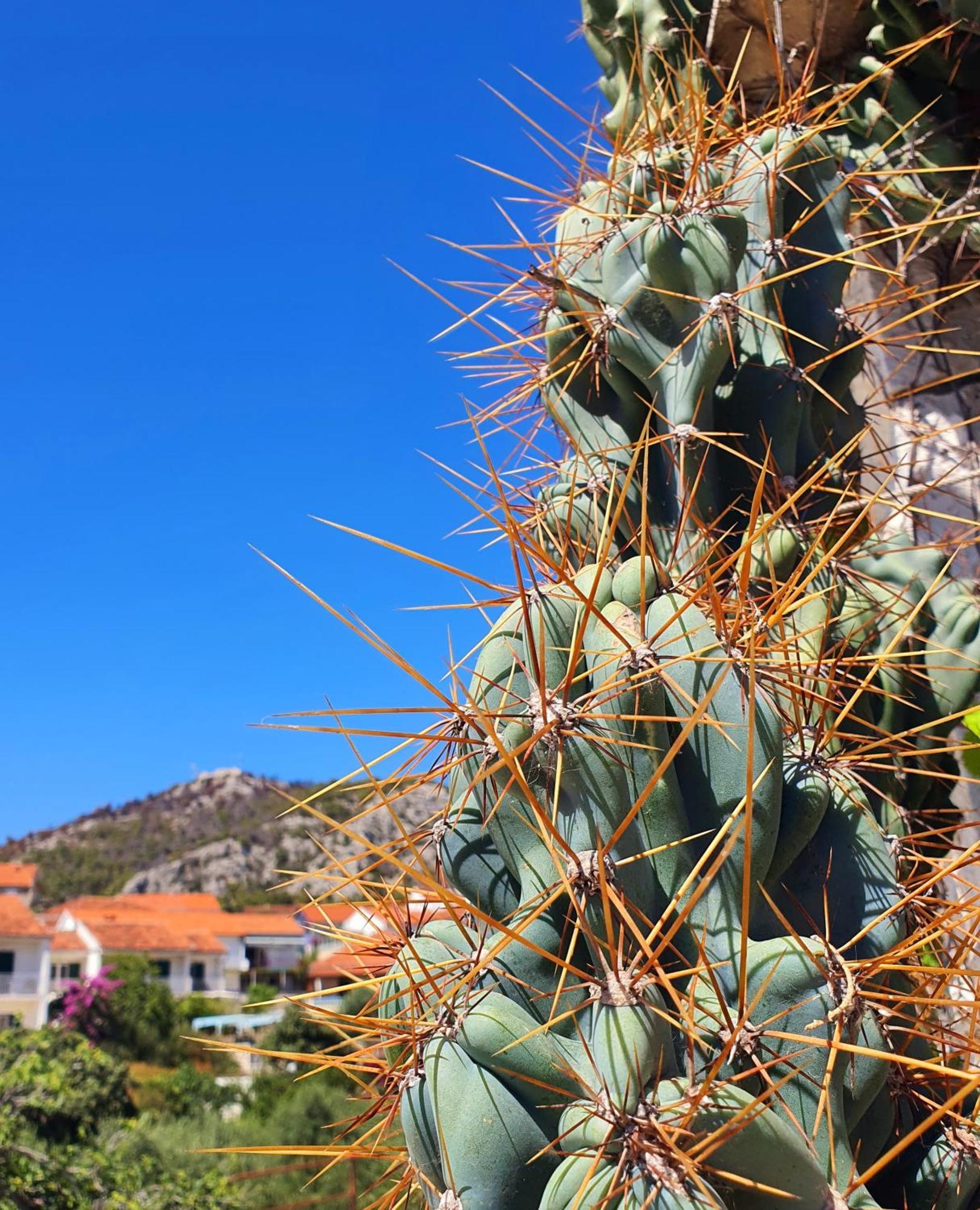 Violeta Hvar Hvar Town Dış mekan fotoğraf