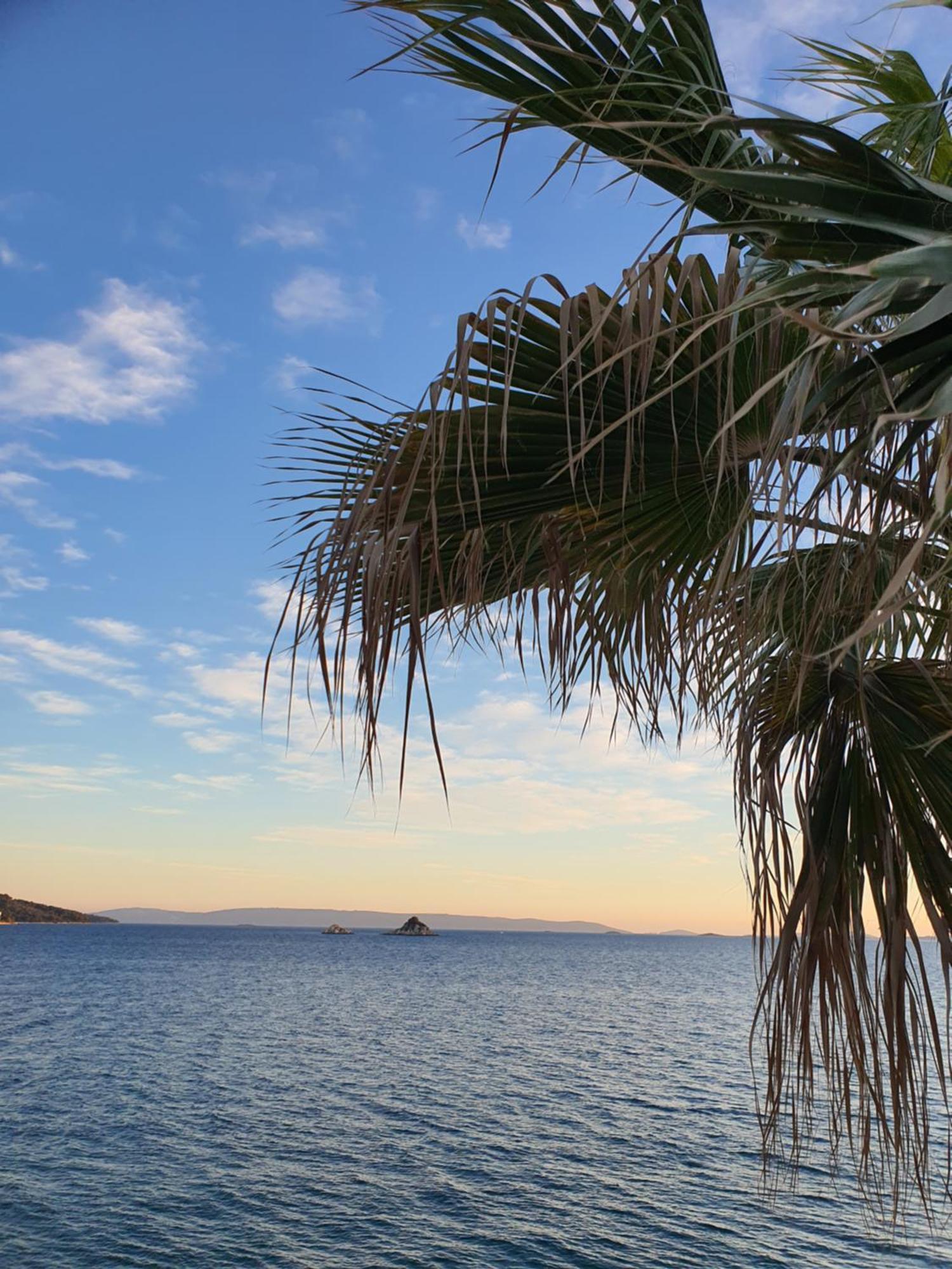 Violeta Hvar Hvar Town Dış mekan fotoğraf