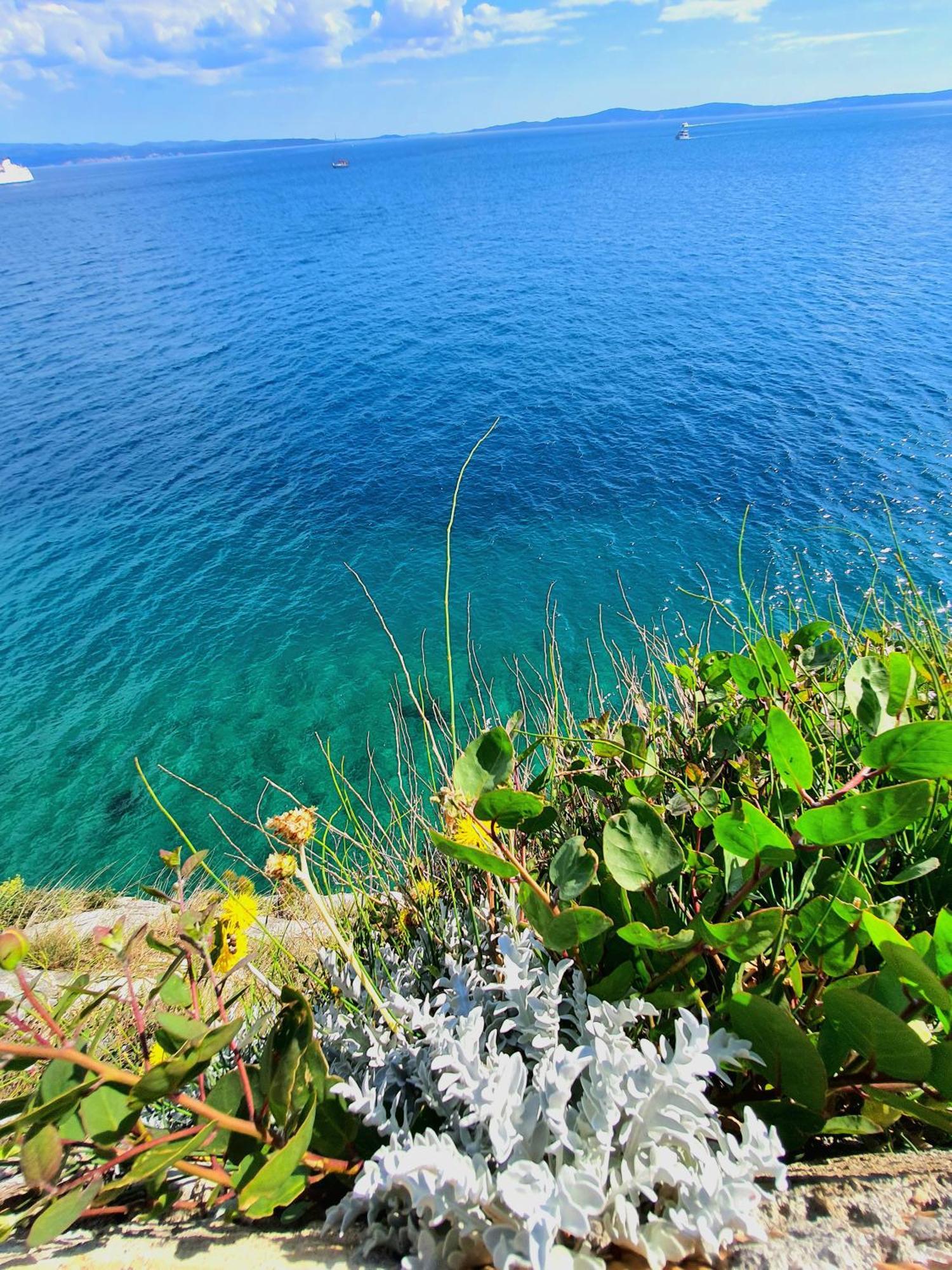 Violeta Hvar Hvar Town Dış mekan fotoğraf